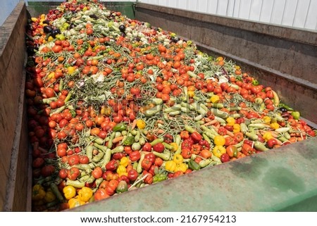 Mix of Expired Vegetables in a huge container, Organic bio waste in a rubbish bin. Heap of Compost from vegetables or food for animals. Royalty-Free Stock Photo #2167954213