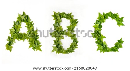 Letters A B and C from decorative ivy on a white background. Letters A B and C from ivy leaves. Leaves alphabet. Font from leaves isolated on white background Royalty-Free Stock Photo #2168028049