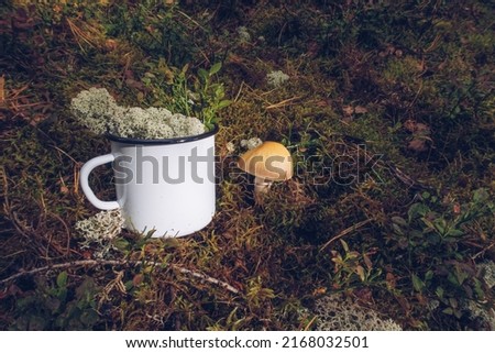 Enamel white mug in the reindeer moss, lichen, twigs and pine needles background. Trekking merchandise and camping gear marketing photo. White metal cup. Rustic scene, mockup template.