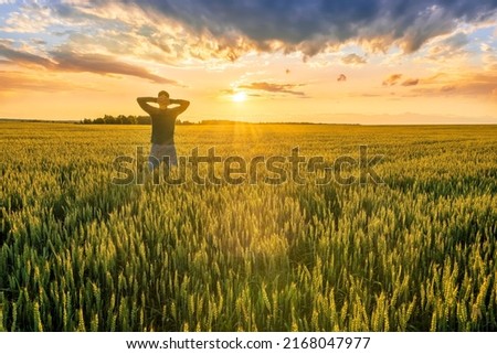happy man and nature , standing with joy in wheat field with sunset with amazing cloudy sky on background of landscape   