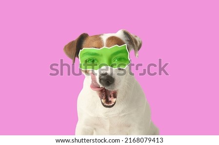 Cute Jack Russell Terrier with human eyes on color background