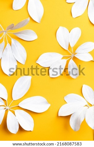 Colored leaves and simple yellow background 