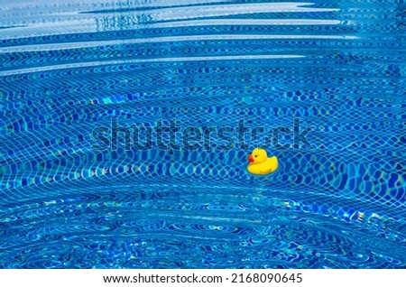 Yellow rubber duck near the blue swimming pool. Happy vacation lifestyle, relaxation concept. Copy space