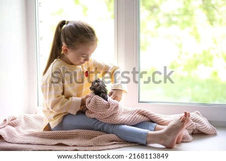 A cute girl plays with her little fluffy kitten sitting on the windowsill of the house. Friendship with a pet. Lifestyle. High quality photo