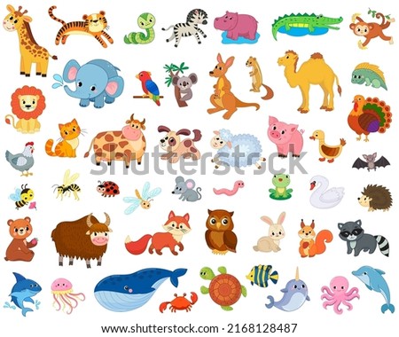 Big set of african, forest, domestic and sea animals and insects. vector image