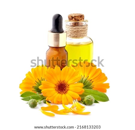 Calendula. Flowers  isolated on white background. Calendula with essential oil.