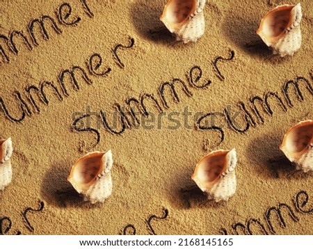 Pattern of sea shells and inscription summer on the sand. Background from rapana shells. Summer backdrop. Clam house.