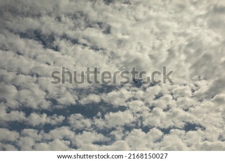 Cirrus clouds in sky. Celestial landscape. View of light cloudiness.