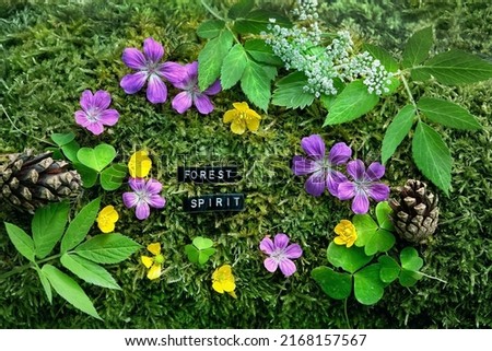 "forest spirit" text and wild forest flowers, leaves, cones on green moss natural background. concept of ecology, environment, save nature, organic and natural purity. top view