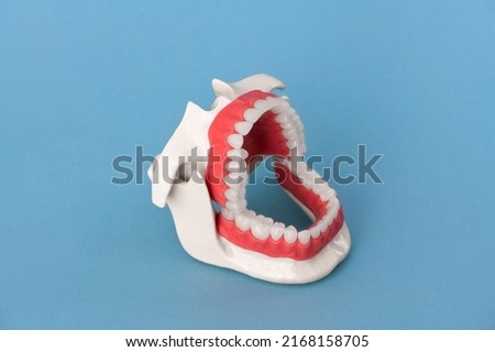 Human jaw with teeth and gums anatomy model isolated on black background. Opened jaw position. Healthy teeth, dental care, and orthodontic medical healthcare concept.