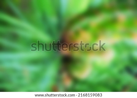 Natural bright green blurred background. Juicy cheerful colors