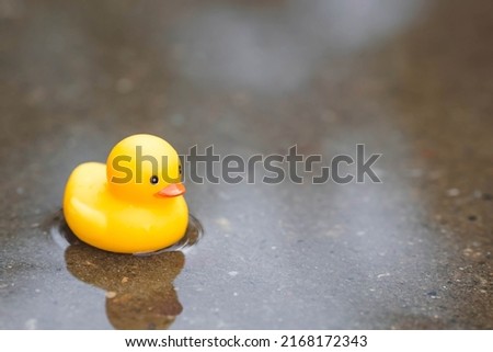 Summer season, the concept of a children's game. A small rubber yellow duck is swimming in the water. Toy close-up. A symbol of swimming, childhood, friendship, fun game.