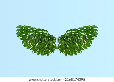 Fresh green leaves, creative natural arrangement, spread wings idea.