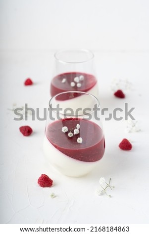 Italian dessert with raspberries. Creamy panna cotta with berries. White background with dessert and flowers. Gypsophila decoration.