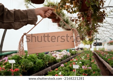 hand of woman holding empty wooden sign in garden mall and greenhouse with space for text