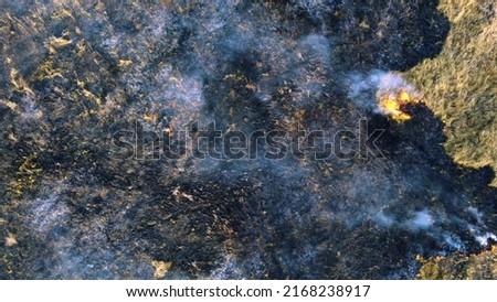 Aerial Drone View Over Burning Dry Grass and Smoke in Field. Flame and Open Fire. Top View Black Ash from Scorched Grass, Rising White Smoke and Yellow Dried Grass. Ecological Catastrophy, Environment Royalty-Free Stock Photo #2168238917