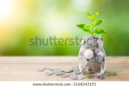 Plant growing in savings coins jar and coins on wooden table. Business growth, interest and investment concept.