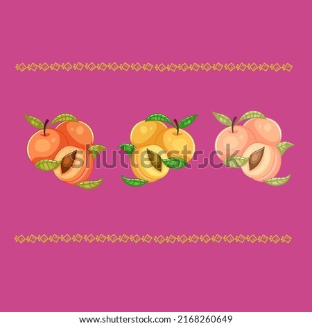 Set of hand drawn vector peaches for summer and spring greeting cards, posters, stickers and seasonal design on pink background. Cute vector illustration.