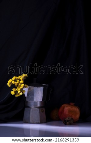 dramatic spring still life with yellow flowers on a white-black background.