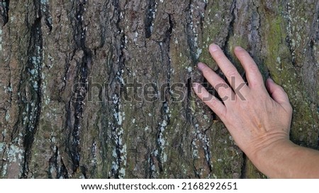 Elderly female hand on an old basswood bark. Royalty-Free Stock Photo #2168292651