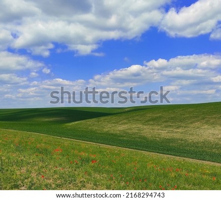 Green grass field on small hills and blue sky with clouds
