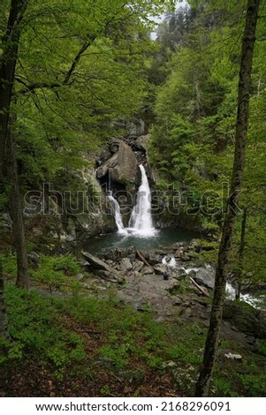 Wide angle shot of the Bash Bish Falls with trees surrounding it Royalty-Free Stock Photo #2168296091