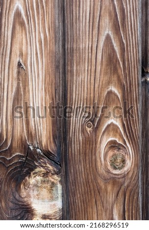 Photo of textured hardwood no people picture as a design of perfect simplicity of a death material for craft wall with structure element and black worn wholes ugly dirty cracked rustic beige surface. 