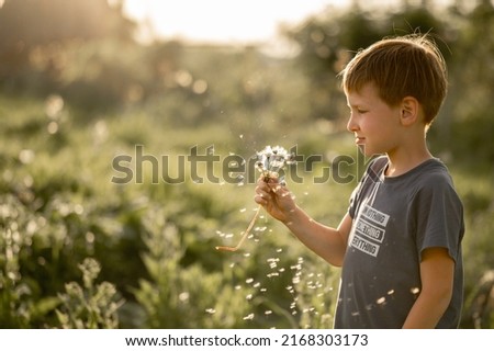 Beautiful cute boy in park blowing on dandelion in summer time.  A child in the field is playing with dandelions.