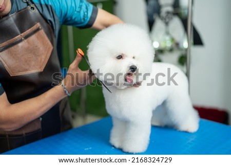 Unrecognizable worker cutting a freshly washed dog's hair at a pet salon