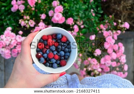 Hand holding cup of raspberries and blueberries picked from the garden during summer in Norway.