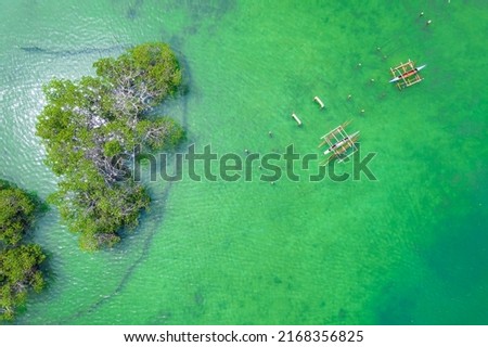 Top view of Fishing boats anchored at shallow waters at a mangrove area in Calape, Bohol.