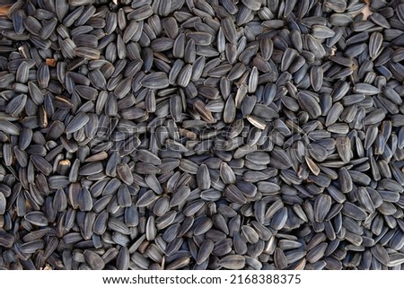 Sunflower seeds background. Sunflower oil raw material. Top view.