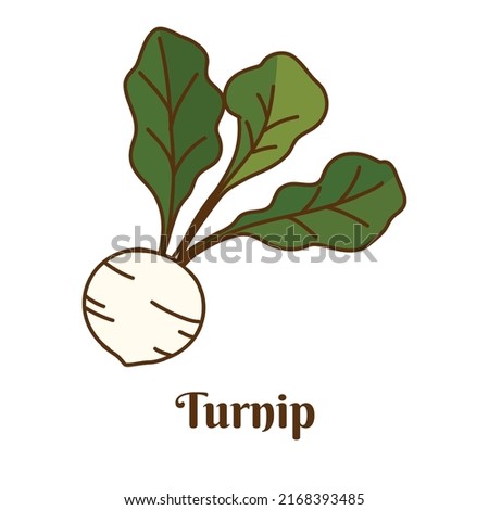 Hand drawn flat cartoon vector illustration of turnip isolated on white background Royalty-Free Stock Photo #2168393485