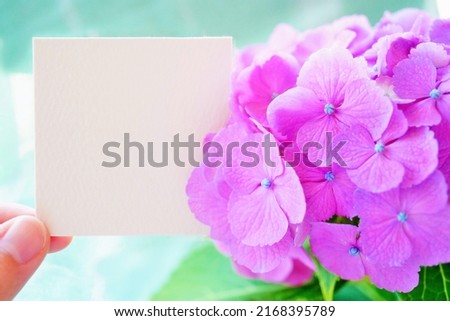 A mockup of comment space with  　cute　red-purple hydrangea flowers on a light green background