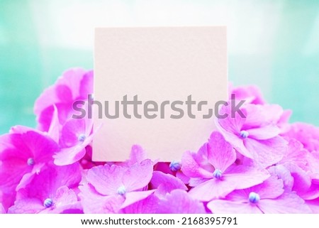 A simple mockup of a title card placed on a red-purple hydrangea flower in full bloom