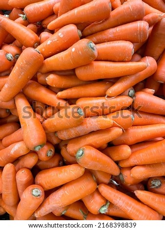 Texture background of fresh large orange carrots.

