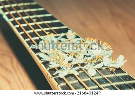 Musical instrument with spring flowers. Flower on guitar strings. Decorated strings