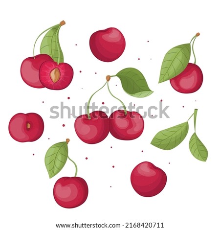Set of cherries, summer set of vector cherries, vector cherries. Fresh garden berries doodle, organic vegan products, juicy cherry vector
