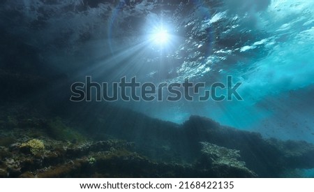 Rays of light over the reef. Underwater photo from a scuba dive in Tropical waters. Interior design for you.
