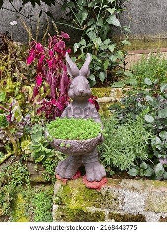 Mr Bunny in the Garden