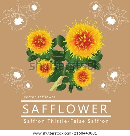 Safflower vector has both line and color vectors. Royalty-Free Stock Photo #2168443881