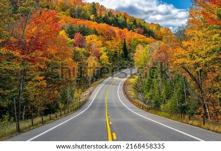 Highway through the autumn forest in the mountains. Autumn forest highway road. Highway in autumn forest. Beautiful autumn forest highway road landscape Royalty-Free Stock Photo #2168458335