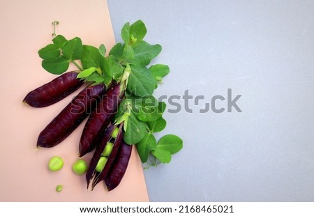 peas purple close-up selective focus, organic vegetables, banner
