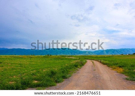  a country road among fields on the background of blue mountains                              