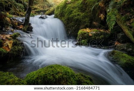 Waterfall stream in the forest. Cold creek waterfall. Waterfall stream flow. Rapid waterfall stream in mossy forest Royalty-Free Stock Photo #2168484771