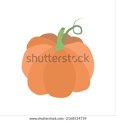 Orange pumpkin. Vector illustration isolated on white background.