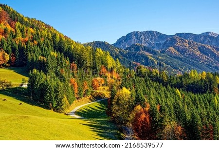 Beautiful autumn in the mountain forest. Autumn mountain forest landscape. Autumn mountain panorama. Autumn in mountains Royalty-Free Stock Photo #2168539577