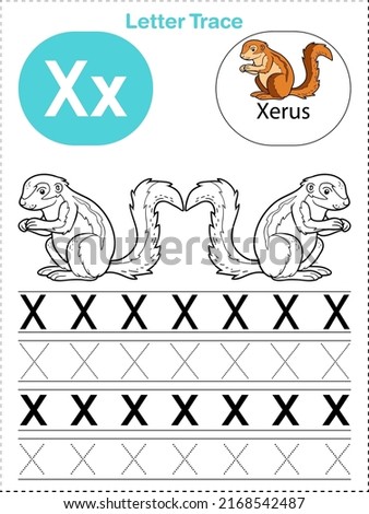 Alphabet letter tracing X for Xerus