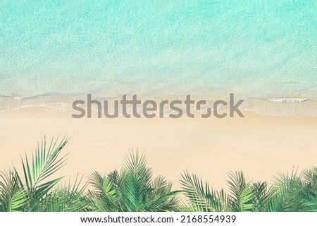 Top and aerial view on tropical sand beach, palm tree and sea. Ocean coastline. Drone photo. Background. Copy space
