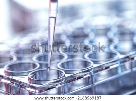 Pharmaceutical Research, Pipetting sample into a multi well plate Royalty-Free Stock Photo #2168569187